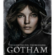 Image for article titled New Gotham Posters Are Great Except For Poison Ivy's Terrible New Name